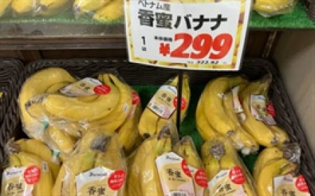 Nhờ đâu chuối Việt Nam “lấn lướt” chuối Philippines ở thị trường Nhật Bản?