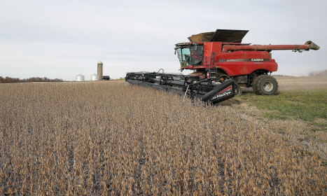 Ông Trump muốn Trung Quốc tăng mua gấp 4 đậu tương Mỹ