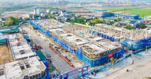 BGI Group đổi phương án cổ tức 2024 sang tiền mặt, Chủ tịch hưởng lợi lớn