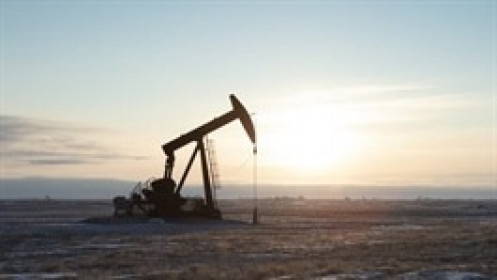 Dầu ổn định chờ đàm phán Mỹ - Nga