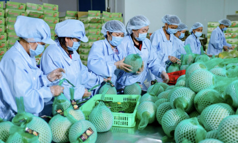 Thuế đối ứng 20% của Mỹ sẽ khiến nông, thủy sản Việt gặp khó