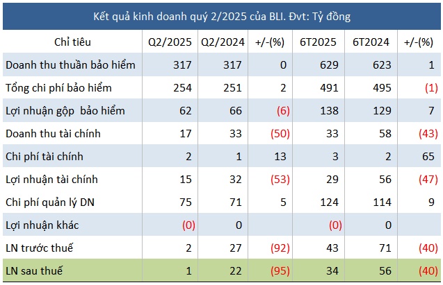 Lãi ròng Bảo hiểm Bảo Long giảm 95% trong quý 2