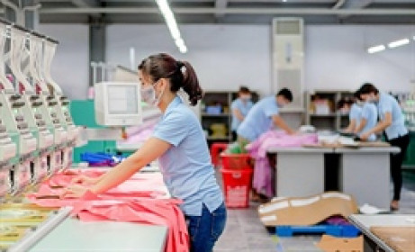 Cổ phiếu xuất khẩu “thất sủng”, FPTS tiếp tục thoái vốn tại May Sông Hồng