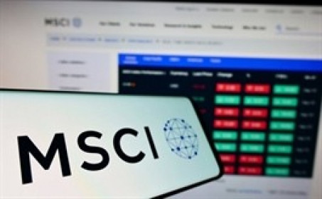 FPT, HCM vào rổ MSCI Frontier Market Index