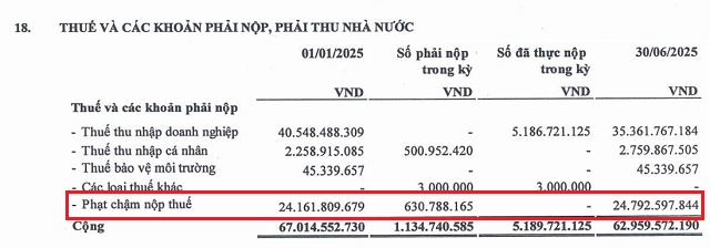 Đô thị Long Giang tiếp tục bị kiểm toán nhấn mạnh vấn đề thuế