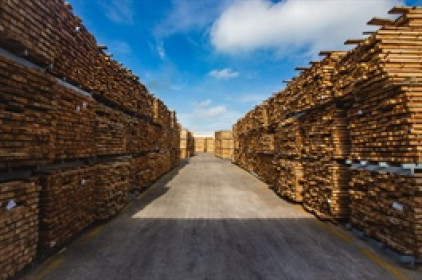 Phú Tài muốn huy động hơn 160 tỷ tăng vốn công ty con sản xuất đồ gỗ