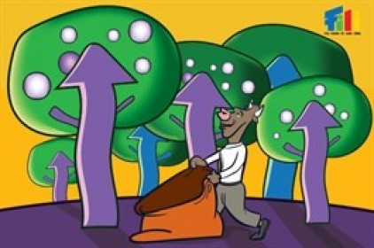 Nhịp đập Thị trường 19/08: Hàng loạt cổ phiếu tăng trần