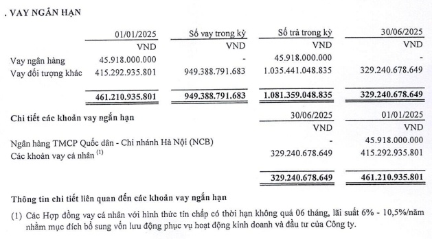 Thành viên HĐQT dùng toàn bộ cổ phiếu để thế chấp cho khoản vay của Chứng khoán Everest