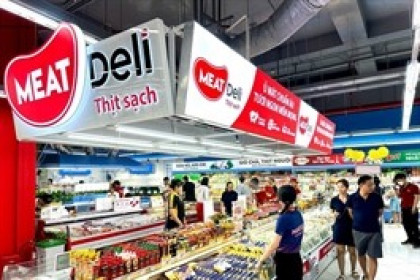 Cổ phiếu MSN vượt đỉnh 1 năm, mảng bán lẻ tăng tốc