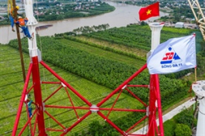 Tổng Công ty Sông Đà đấu giá cổ phần SJE với giá khởi điểm gấp 3 lần thị trường