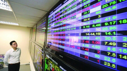 Phương pháp “gã khờ” và bài học từ ETF cho nhà đầu tư cá nhân