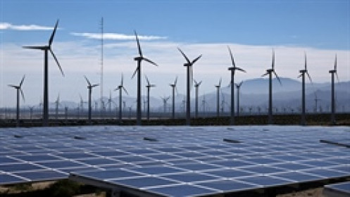 Ông Trump: Mỹ sẽ ngừng phê duyệt dự án điện mặt trời và điện gió