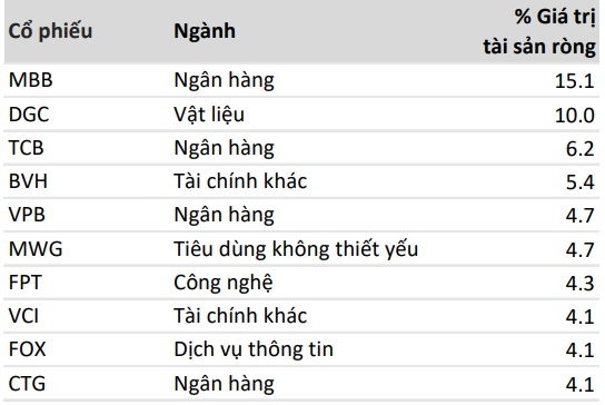 Quỹ VinaCapital-VESAF có kế hoạch giải ngân vào nhóm cổ phiếu vừa và nhỏ