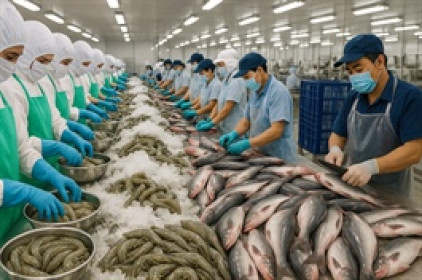 Thủy sản quý 2 tận dụng “khoảng trống” thuế từ Mỹ