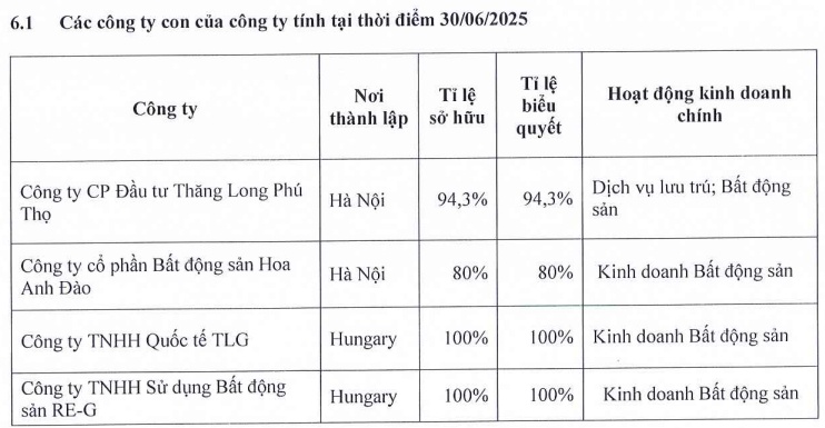 Lợi nhuận quý 2 lao dốc gần 90%, TIG muốn rút lui khỏi công ty con tại Hungary