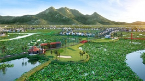 Lợi nhuận quý 2 lao dốc gần 90%, TIG muốn rút lui khỏi công ty con tại Hungary