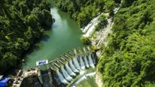 Điện lực Trung Sơn muốn thoái toàn bộ 86% vốn SVH, dự kiến lỗ tới 40%