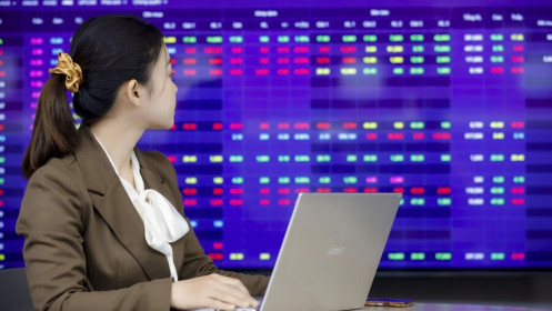 VN-Index sau đỉnh đầu cơ: Trở về giá trị cơ bản