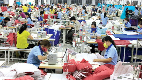 Dệt may Việt Nam và thách thức lớn hơn cả thuế quan