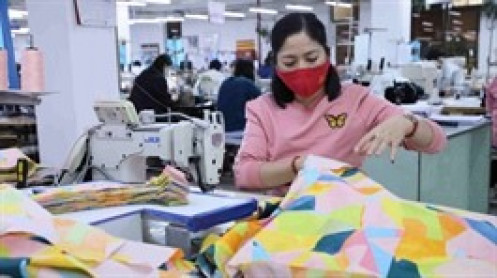 Gilimex lỗ kỷ lục quý 2, cổ phiếu vẫn tăng trần nhờ kỳ vọng vụ kiện Amazon