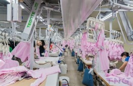 TNG vay thêm 650 tỷ từ VietinBank, mở rộng sản xuất giữa lúc nợ vay phình to