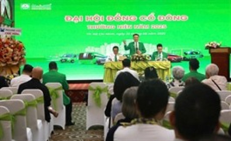 ĐHĐCĐ Tập đoàn Mai Linh: Kế hoạch lãi 56 tỷ, bổ sung kinh doanh taxi bằng xe điện