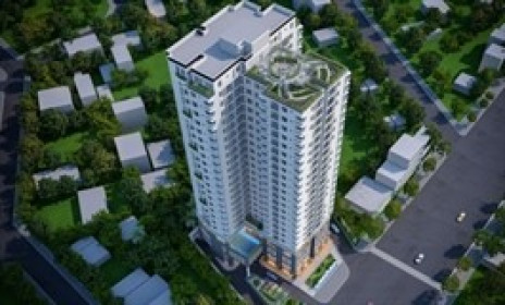 RES 11 khởi động “trả nợ” cổ tức cổ phiếu cho cổ đông