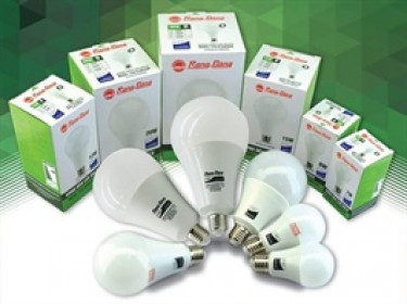 Bóng đèn Rạng Đông duy trì cổ tức tiền giữa bối cảnh lợi nhuận cùng giá cổ phiếu suy giảm