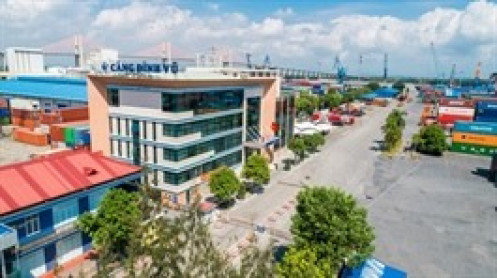 Cảng Đình Vũ chốt chia nốt 40 tỷ đồng cổ tức 2024 vào cuối tháng 9