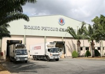 Thủy sản Út Xi loay hoay tìm lối thoát cho cổ phiếu bị hạn chế giao dịch