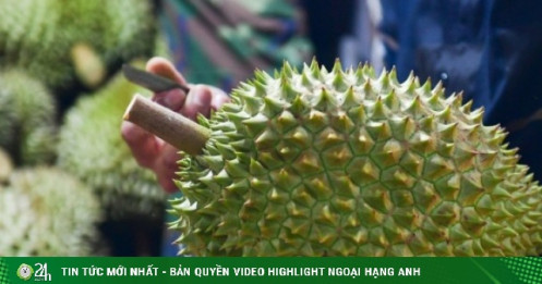 Giá sầu riêng ‘chạm đáy’ ở chợ Hà Nội, có loại chỉ còn 35.000 đồng/kg