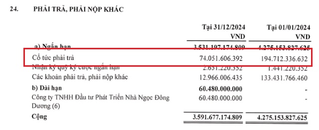 QCG nói gì về khoản chi 120 tỷ cổ tức trên báo cáo tài chính 2024?