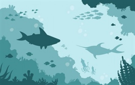 Theo dấu dòng tiền cá mập 28/08: Khối ngoại rút ròng gần 2,700 tỷ, ngân hàng chịu áp lực lớn