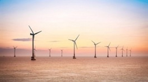 Cổ phiếu BGE thoát diện cảnh báo