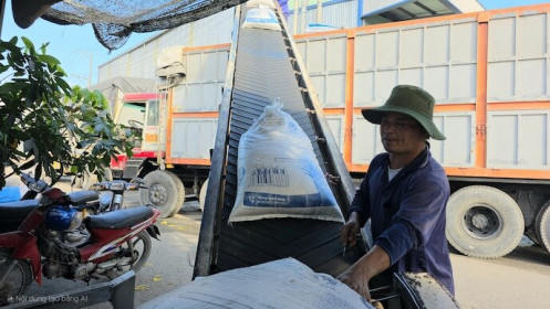 Bộ Công Thương thúc đẩy đàm phán FTA mới, mở rộng thị trường gạo