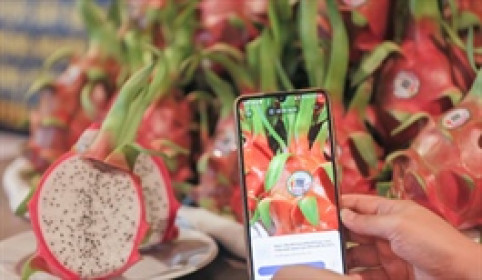 Thủ tướng chỉ đạo tăng cường truy xuất nguồn gốc, bảo đảm uy tín nông sản Việt xuất khẩu