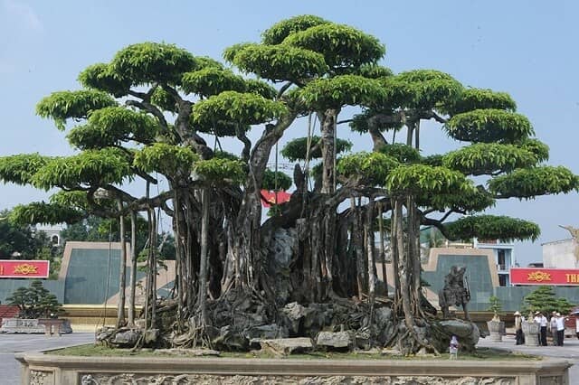 Chân dung bầu Đoan, ông chủ Tập đoàn BĐS Đông Á