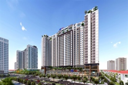 DIG lãi ròng thêm 18 tỷ sau soát xét, cổ phiếu quay lại vùng giá cao nhất từ đầu năm