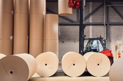 DHC có thêm cổ đông lớn nước ngoài, vợ CEO tiếp tục gom cổ phiếu