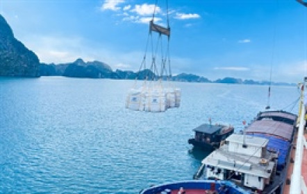 Xi măng Xuân Thành lãi gấp 4 lần trong nửa đầu 2025