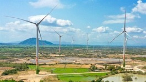 Doanh thu chạm đáy, lỗ vượt kế hoạch, VNECO chịu thêm áp lực hủy niêm yết