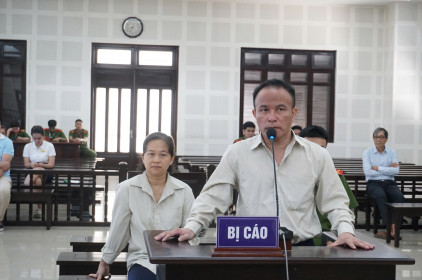 Được nhờ đứng tên rồi chiếm đoạt 5 lô đất trị giá 57 tỷ đồng