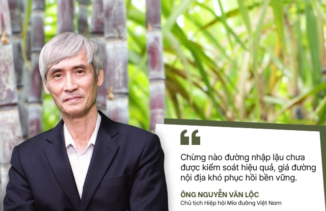 Niên vụ 2025-2026 ngành mía đường đối diện nguy cơ đứt gãy