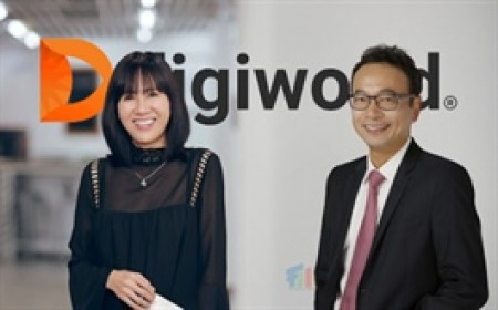Digiworld phát hành ESOP chưa đến 1/4 thị giá, CEO mua nhiều nhất, Chủ tịch vắng mặt