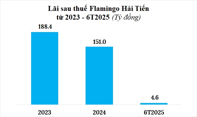 Lợi nhuận Flamingo Hải Tiến bốc hơi 97% trong nửa đầu năm