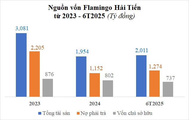 Lợi nhuận Flamingo Hải Tiến bốc hơi 97% trong nửa đầu năm