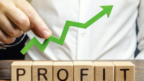 Tăng trưởng lợi nhuận quý II/2025 mạnh nhưng chất lượng còn nhiều băn khoăn