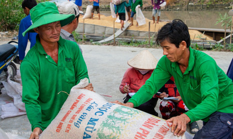 Thủ tướng yêu cầu tăng tín dụng, mở rộng thị trường xuất khẩu gạo