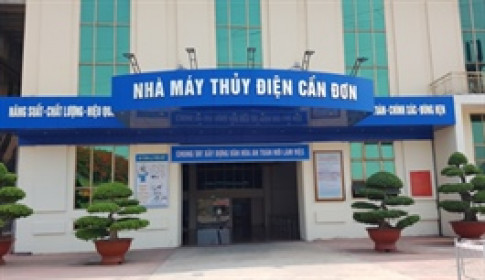 Thủy điện Cần Đơn sắp chi gần 114 tỷ đồng cổ tức, Tổng Công ty Sông Đà hưởng lợi lớn