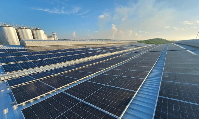 Lắp điện mặt trời mái nhà tự dùng không đăng ký có thể bị phạt